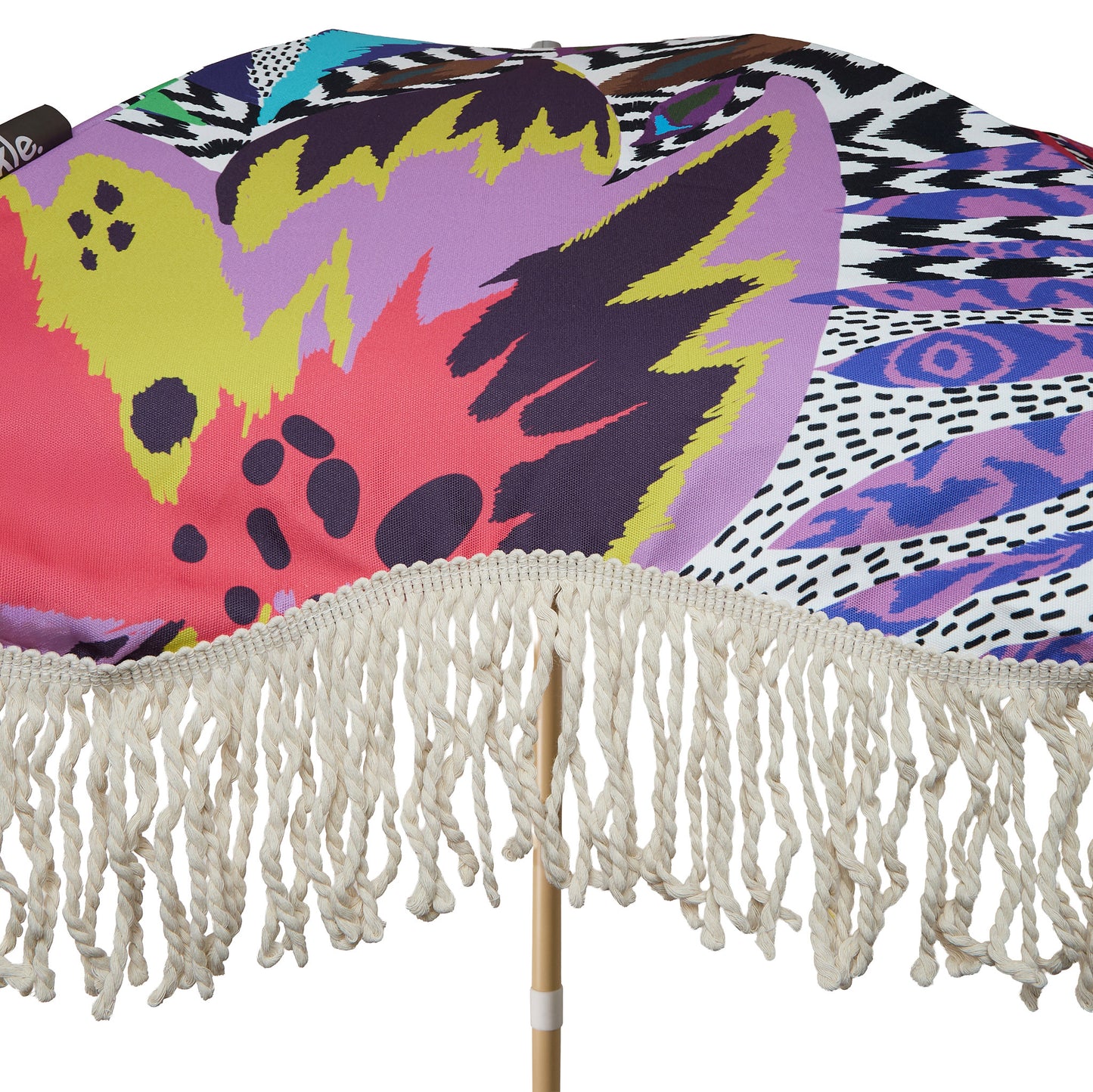 Parasol Bird of Paradise