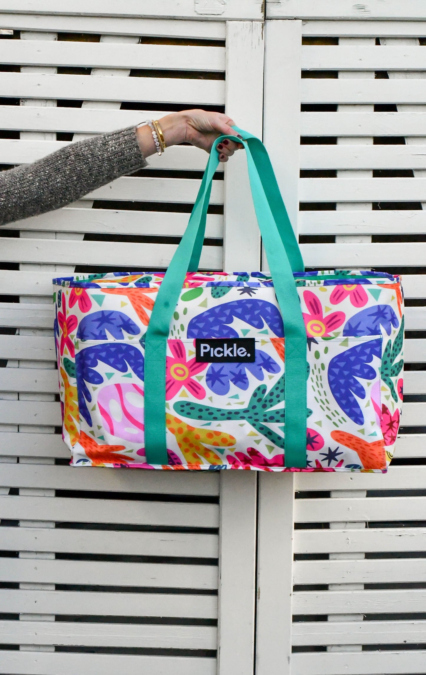 Aloe Zebrina Picnic Cooler Bag Set