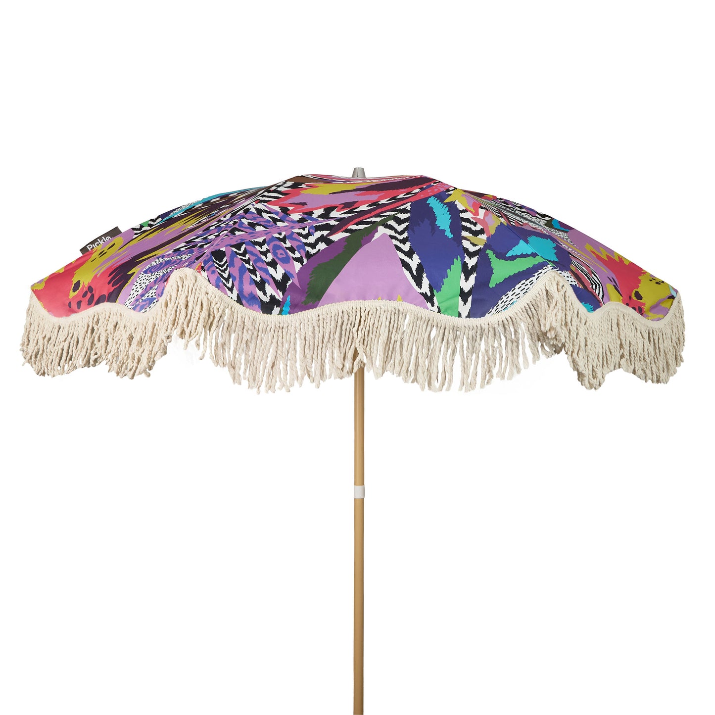 Parasol Bird of Paradise