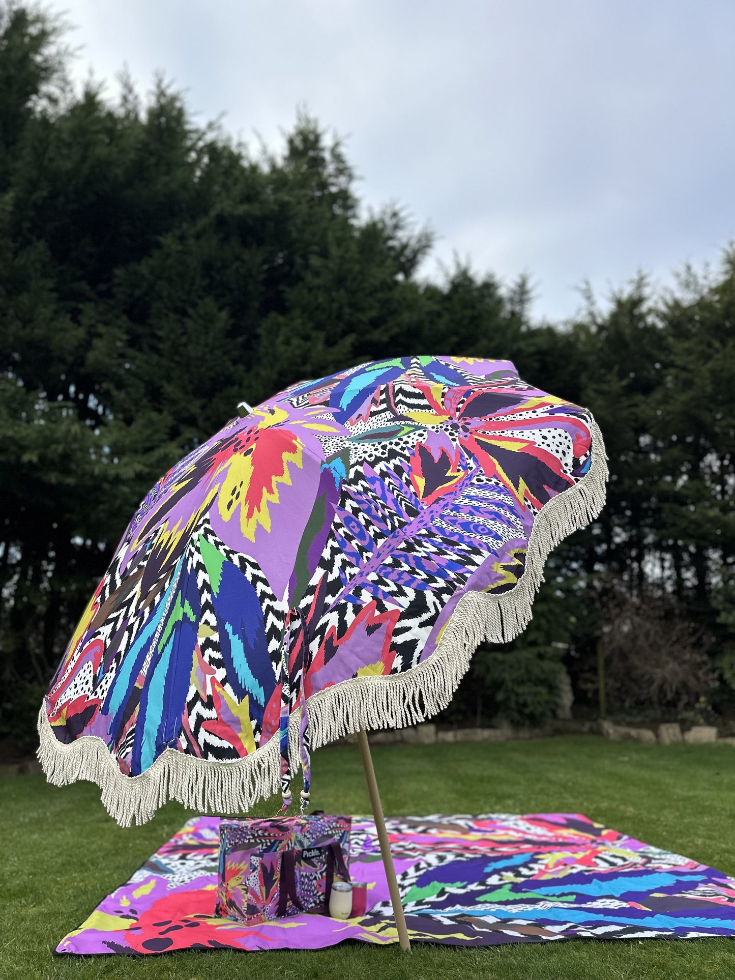 Parasol Bird of Paradise