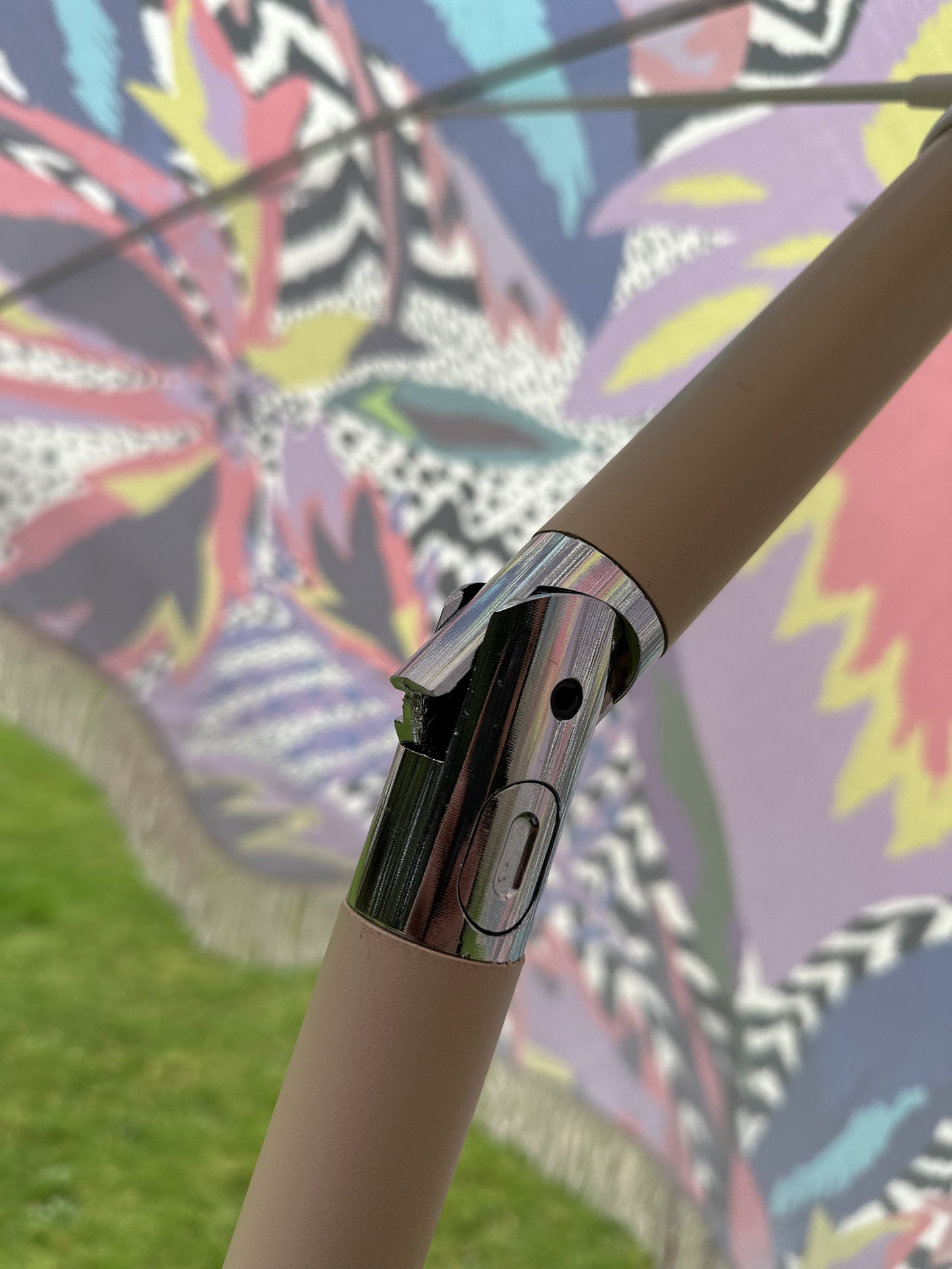 Parasol Hottentots Fig