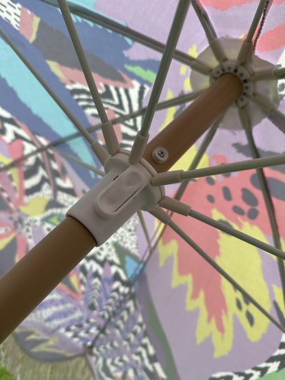 Parasol Bird of Paradise