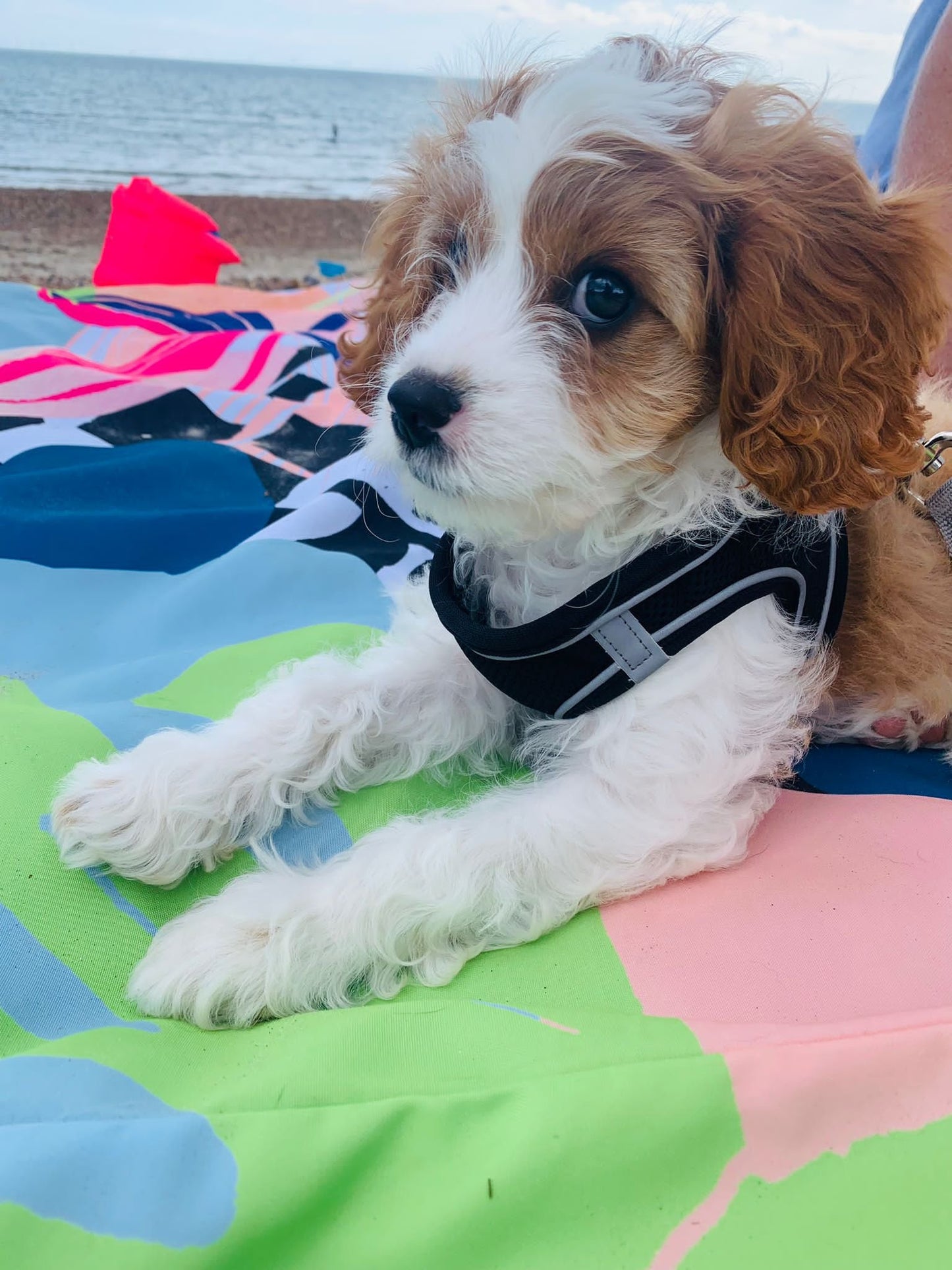 Tiger Lily | XL Picnic Mat